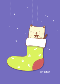 Cat Bimbim in a sock!