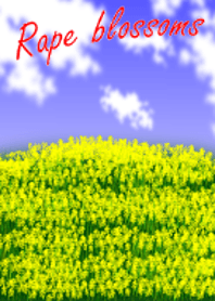 The Flower garden