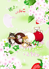 花よりわんこ14（柴犬、苺、桜、団子、春）