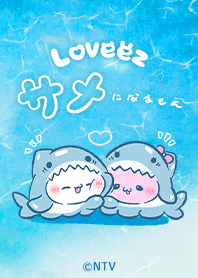 Loveeez - shark -