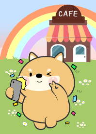 Cute Shiba Inu  In Cafe Theme