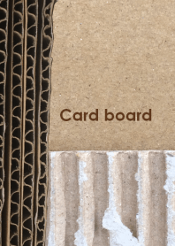 Card board ~段ボール~