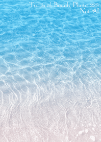TropicalBeach Photo 223 Not AI