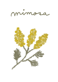 mimosa YUKANCO theme