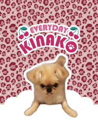 Everyday "KINAKO" Theme<3>