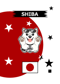 shiba inu white