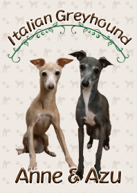 Italian Greyhound  Anne & Azu-Br02