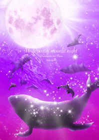 月の光 Underwater moonlit night
