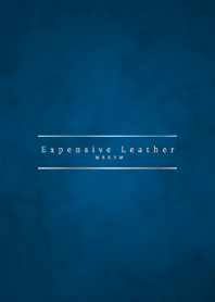 Expensive Leather -SILVER-