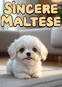 真誠的馬爾濟斯 VOL.4