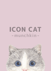ICON CAT - Munchkin - PASTEL PK/06