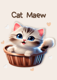 Cat maew