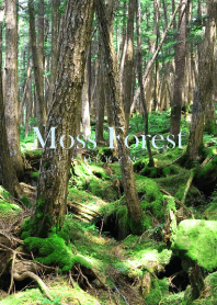 Moss Forest 2 -MEKYM-
