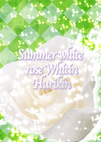 Summer white rose Whitin Hurikin
