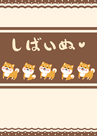 Shiba Inu - Cocoa Brown (Br4)