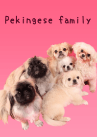 Pekingese family