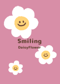 Smiling Daisy Flower  - VSC 03-06