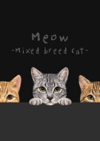 Meow - Mixed breed cat 03 - BLACK/GRAY