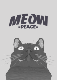 Peacetorm,Theme