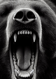 monotone animal15