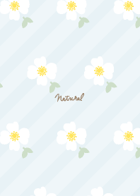 White flowers and leaves pretty17