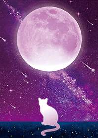 幸運を呼び込む✨満月とネコ