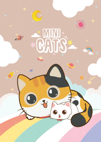 แมวเหมียว ท้องฟ้าสายรุ้ง สีน้ำตาล