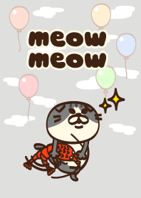 I want to say Meow meow, Scottish Fold.