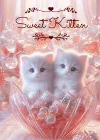 Sweet Kitten No.1092
