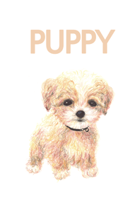 puppy_01