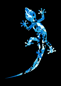 Marine Camouflage Gecko #cool