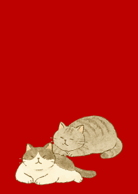 red & beige 猫は癒してくれる10