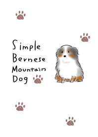 簡單 伯恩山地犬