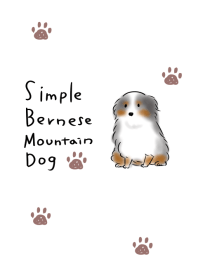 Simple Bernese Mountain Dog.