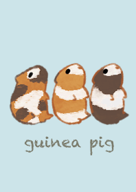 guinea pig!2