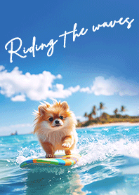 Surfer Pomeranian/summer sea & blue sky