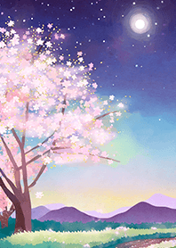 Beautiful night cherry blossoms#1161