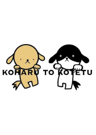 KOHARU to KOTETU