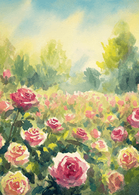 Beautiful rose flower(R4593)