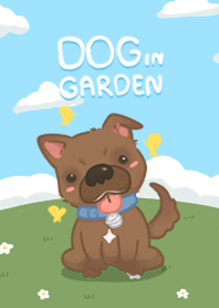 Dog in Garden