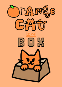 orangecat in box