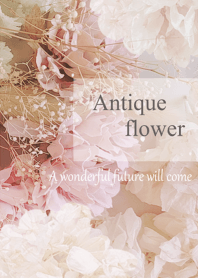 World of Antique Dried Flower10.