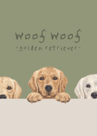 Golden retriever - OLIVE