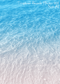 Tropical Beach Photo202 Not AI