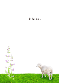 life is ...