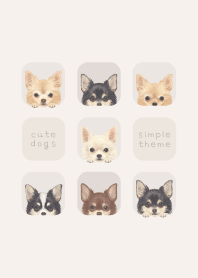 DOGS - Chihuahua L - BEIGE