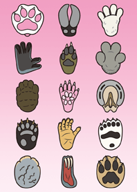 ASHIURA ANIMALS KISEKAE