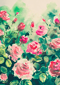 Beautiful rose flower(R4217)