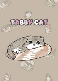tabbycat10 / dark tan