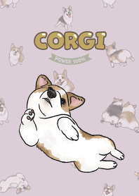 corgicorgi8 / taro
